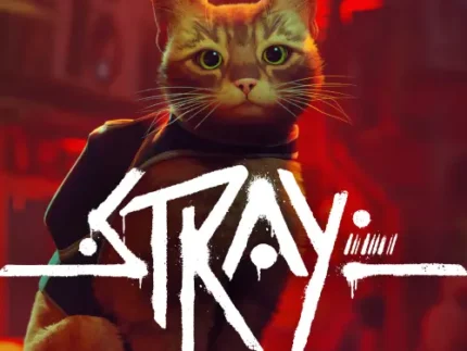 Stray TR Steam CD Key
